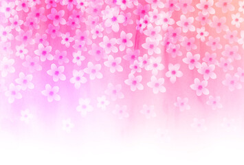 桜　春　花　背景