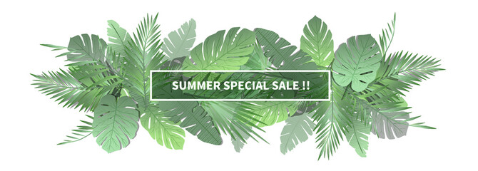 palm leaf background with title box.
leaves design for summer promotion.