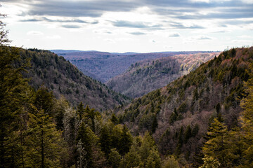 Mountains in Blackwater Falls.
