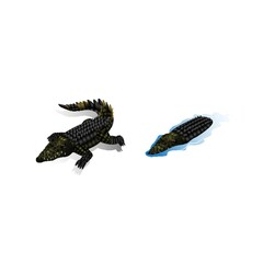 Isometric crocodiles