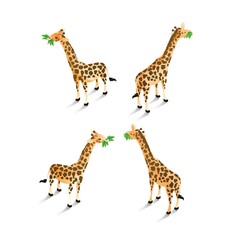 Isometric giraffes