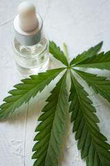 Cosmetics with cannabis oil on a white background. The concept of luxurious skin care.