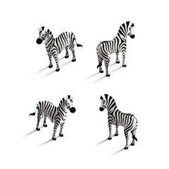 Fototapeta na wymiar Isometric zebra