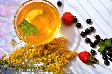 Glass cup of green herbal tea with green blackcurrant leaf, strawberry and currant berries and yellow flowering field grass. Beautiful summer berries wallpaper. Top view