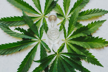 Cosmetics with cannabis oil on a white background. The concept of luxurious skin care.
