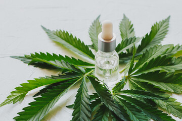 Cosmetics with cannabis oil on a white background. The concept of luxurious skin care.