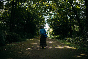 Fototapeta premium 学校