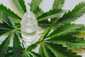 Cosmetics with cannabis oil on a white background. The concept of luxurious skin care.