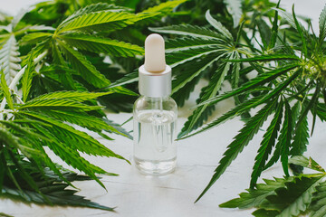 Cosmetics with cannabis oil on a white background. The concept of luxurious skin care.