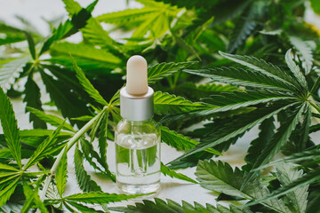 Cosmetics with cannabis oil on a white background. The concept of luxurious skin care.