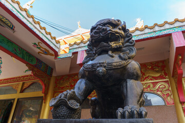 Chinese Stone Lion in Chinese Temple