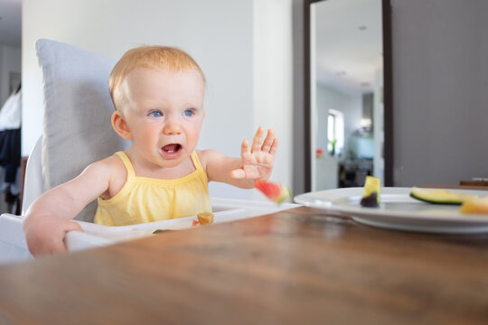 Annoyed Cute Baby Sitting In Highchair And Throwing Slices Of Fruits. First Solid Food Or Child Care Concept