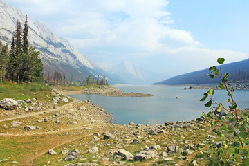 Medicine lake lookout point on the lake and mountain with little plant in the foreground, Jasper National park, AB.