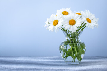 Bouquet of daisies in a glass vase on blue background. Empty place for text. Floral gift card with chamomile. Copy space, mockup. Flowers decoration.