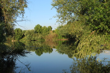 lake in the park