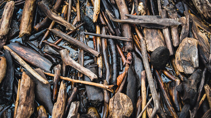 Natural and rustic sticks background.