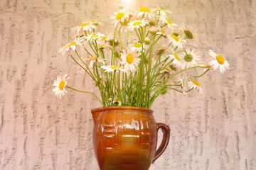 Bouquet of beautiful camomile in a vase. Summer bouquet