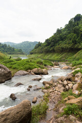 nature in Khun Dan Prakan Chon Dam Nakhon Nayok Thailand