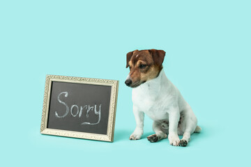 Cute dog and chalkboard with word SORRY on color background