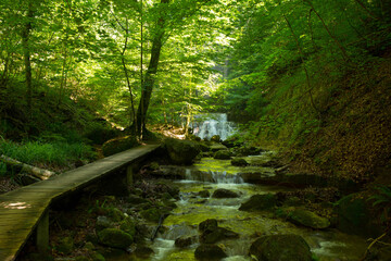 Duenkelbach bei Geffingen in der Schweiz