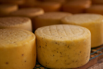 A row of aging cheeses on wooden shelves in the farm's maturing cellar