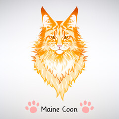 Portrait of Red Cat Maine Coon