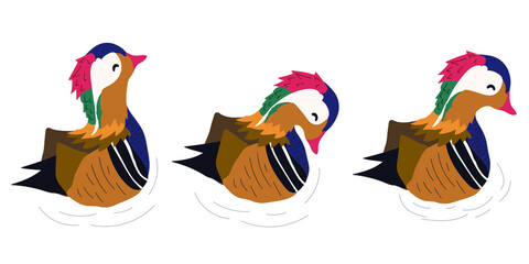 hand drawn mandarin ducks vector illustration
