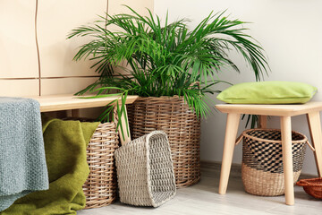 Bench with wicker baskets and houseplant in room