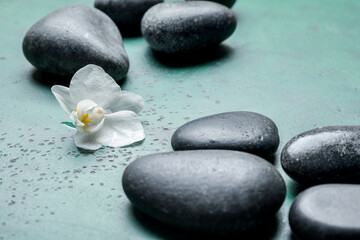 Fototapeta na wymiar Spa stones and flower on color background