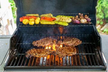 Grilling beef and vegetables with an open fire