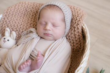 Cute little baby in a knitted hat with a toy bunny lies in a wicker basket decorated with greens and lemons in a beige knitted blanket. Summer mood. Happy healthy childhood