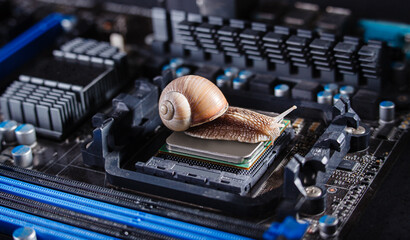 A snail on the processor in the motherboard. Old computer. Slow components..