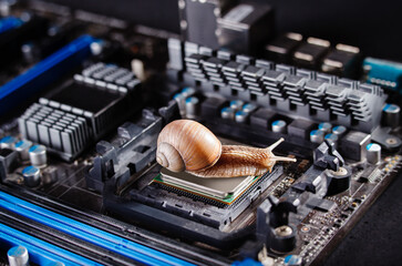 A snail on the processor in the motherboard. Old computer. Slow components..