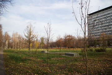 autumn in the park