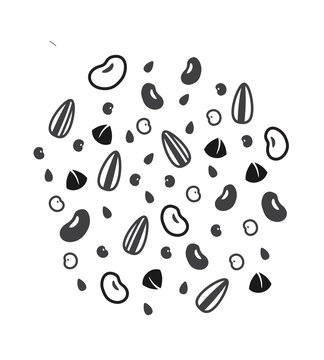 Several types of cereal grains vector illustration