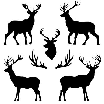 background with patterns of deer and horns