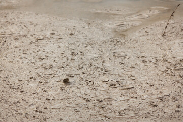 Boiling geothermal mud pool Rotorua New Zealand