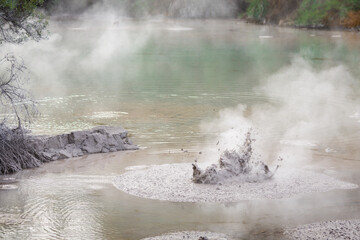 Boiling geothermal mud pool Rotorua New Zealand