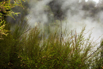 Geothermal