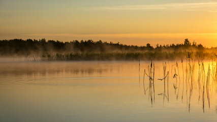 Foggy weather early in the morning on the lake. beautiful wallpapers. a mystical mist vibrates in the lake. summer sunrise