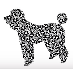 Silhouette of a dog made of dog tracks