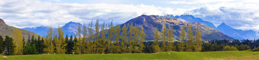 New Zealand South Island landscape panorama
