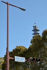 日本の桜通久屋西交差点の信号機