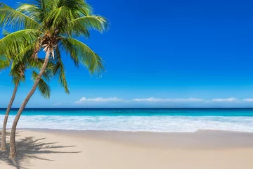 Poster Prachtig strand met kokospalmen en turquoise zee op het eiland Jamaica. Kopieer de ruimte in de blauwe lucht. © lucky-photo