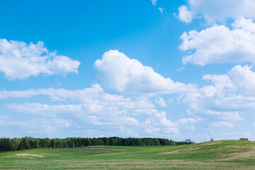 Fototapeta na wymiar Summer landscape. Green field, bright blue sky and white clouds. Against the background of the forest. Nature in Central Europe 