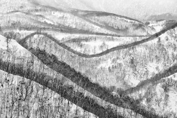Fototapeta premium Japan winter landscape, hill with trees and snow. Rausu is mountain located in Menashi District, Nemuro Subprefecture, Hokkaido. Beautiful winter landscape from Japan. Mistic cold nature.