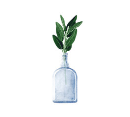 Hand drawn watercolor illustration of glass bottle with sage branch. Cosy home decor items. Isolated objects on white background.
