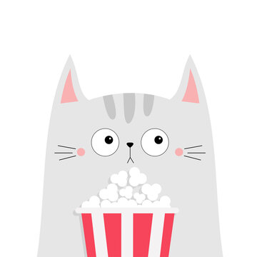 Cat popcorn box. Kitten watching movie. Cute cartoon funny character. Kids print for tshirt notebook cover. Cinema theater. Film show. White background. Isolated. Flat design
