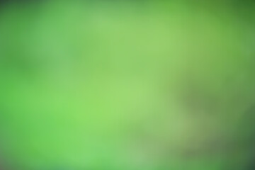 abstract green summer bokeh background, gradient view art texture glow