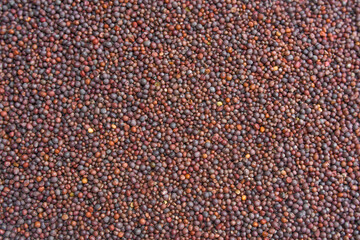 Close Up Background Texture Of A Pile Of Black Mustard Seeds.